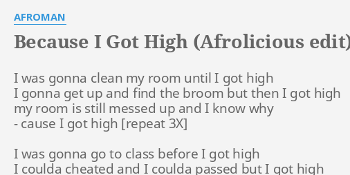 Because I Got High Afrolicious Edit Lyrics By Afroman I