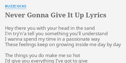 Never Gonna Give It Up Lyrics By Buzzcocks Hey There You With