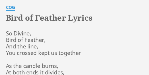 Bird Of Feather Lyrics By Cog So Divine Bird Of