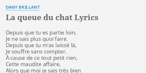 La Queue Du Chat Lyrics By Dany Brillant Depuis Que Tu Es