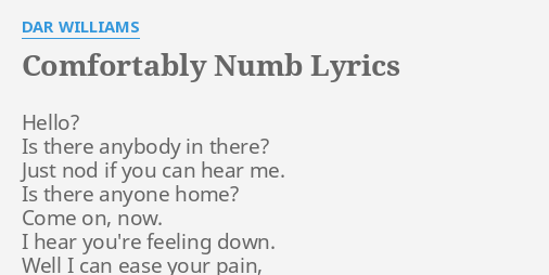 Comfortably Numb Lyrics By Dar Williams Hello Is There Anybody