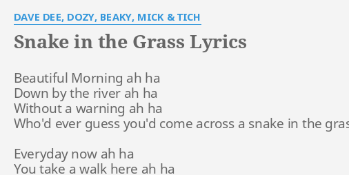 NickyNuAImusic Snakes In The Grass Lyrics