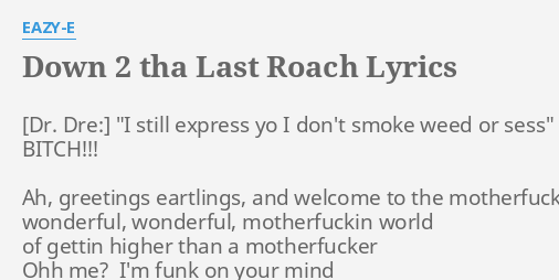 down 2 tha last roach lyrics