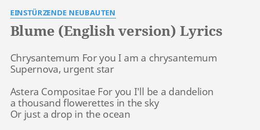 Blume English Version Lyrics By Einsturzende Neubauten Chrysantemum For You I