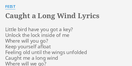 Caught A Long Wind Lyrics By Feist Little Bird Have You
