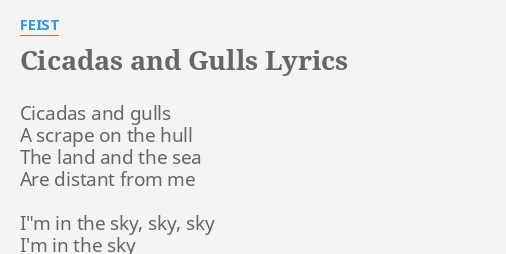 Cicadas And Gulls Lyrics By Feist Cicadas And Gulls A