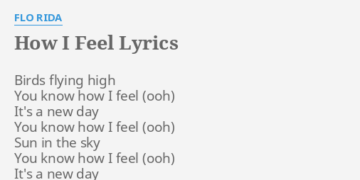 How I Feel Lyrics By Flo Rida Birds Flying High You