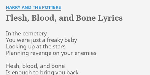 Flesh Blood And Bone Lyrics By Harry And The Potters In The Cemetery You