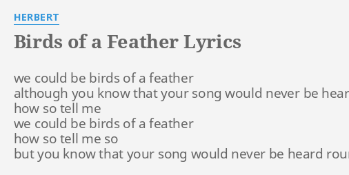 "BIRDS OF A FEATHER" LYRICS by HERBERT: we could be birds...