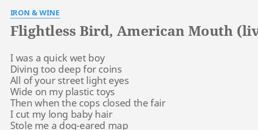 Flightless Bird American Mouth Live Lyrics By Iron Wine I Was