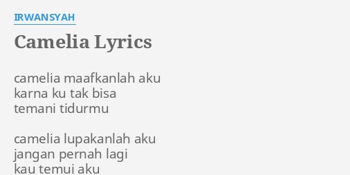 Camelia Lyrics By Irwansyah Camelia Maafkanlah Aku Karna