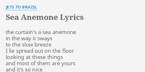 Sea Anemone Lyrics By Jets To Brazil The Curtain S A Sea