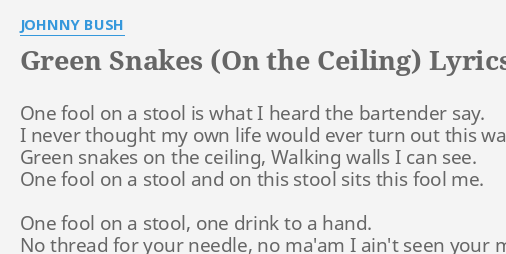 Green Snakes On The Ceiling Lyrics By Johnny Bush One