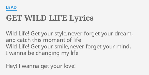 Get Wild Life Lyrics By Lead Wild Life Get Your
