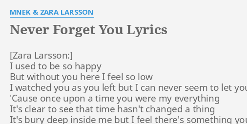 Martes Tendero Capacidad Zara Larsson I Will Never Forget You Lyrics Fanatico Perforar Preferible
