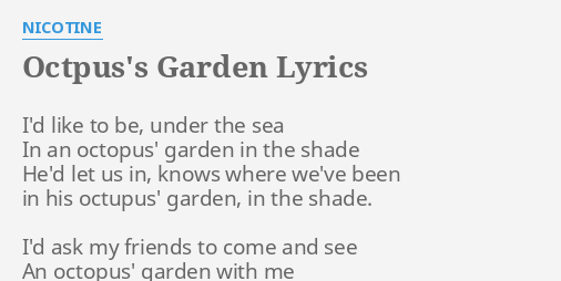 Octpus S Garden Lyrics By Nicotine I D Like To Be