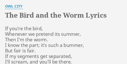 The Bird And The Worm Lyrics By Owl City If You Re The