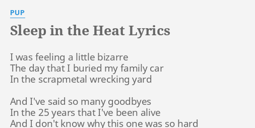 Sleep In The Heat Lyrics By Pup I Was Feeling A