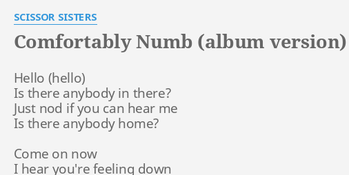 Comfortably Numb Album Version Lyrics By Scissor Sisters Hello
