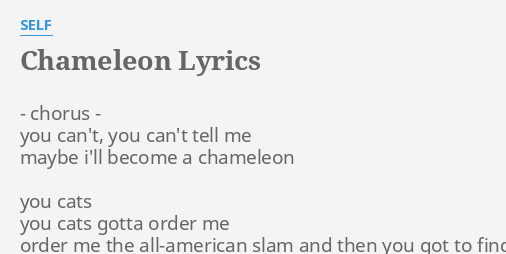 "CHAMELEON" LYRICS by SELF: - chorus - you...