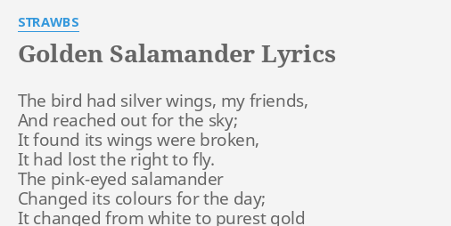Golden Salamander Lyrics By Strawbs The Bird Had Silver