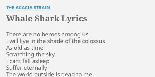 Whale Shark Lyrics By The Acacia Strain There Are No Heroes