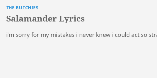 Salamander Lyrics By The Butchies I M Sorry For My