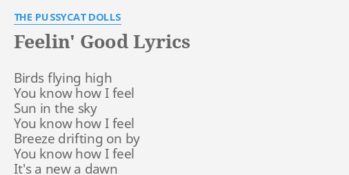 Feelin Good Lyrics By The P Cat Dolls Birds Flying High You