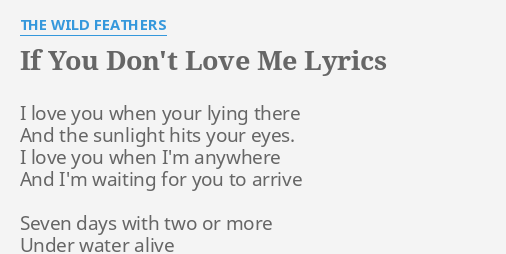 If You Don T Love Me Lyrics By The Wild Feathers I Love You When