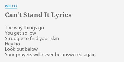 can-t-stand-it-lyrics-by-wilco-the-way-things-go